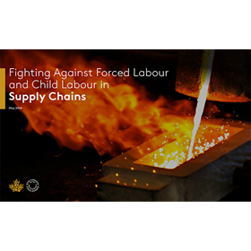 fighting-against-forced-labour-and-child-labour-in-supply-chains-en.pdf