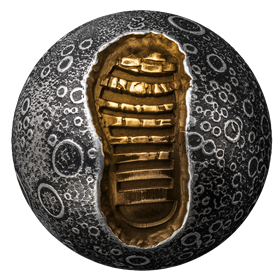 2024-5-fine-silver-coin-55th-anniversary-moon-landing-fr.pdf