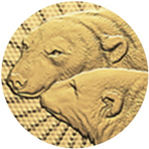 Close up of gold coin, privy mark of polar bears. Close up of gold coin, privy mark of polar bears.